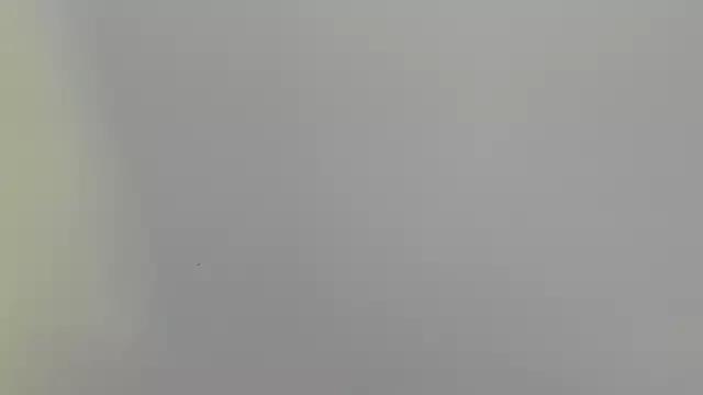 liily_grey from StripChat