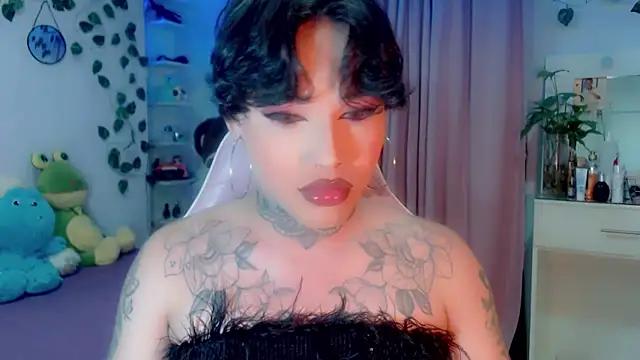 Discover our girls online shows and discover the company of countless livestreamers, with stunning shapes, sex toys and more.