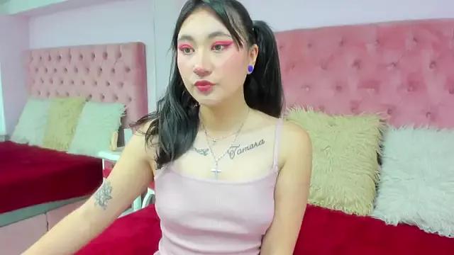 Discover our girls online shows and discover the company of countless livestreamers, with stunning shapes, sex toys and more.