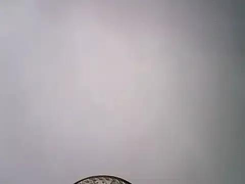 Maylissee webcams show profile image 