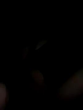 Mellywelly from StripChat