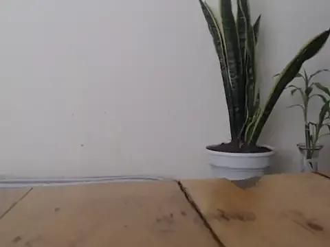 michel_ex33 from StripChat is Freechat