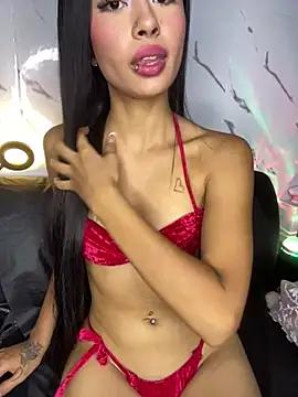 Discover our girls online shows and discover the company of countless livestreamers, with stunning shapes, sex toys and more.