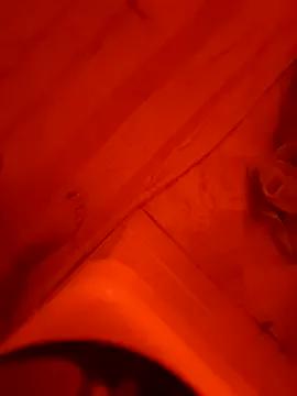 Misspadrona88 from StripChat