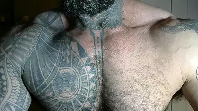 Muscle1976 webcams show profile image 