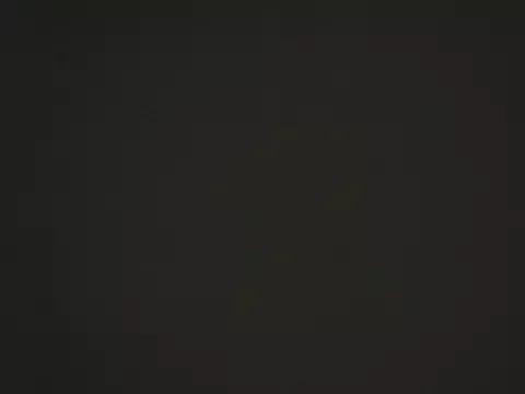 Nier_2_ webcams show profile image 