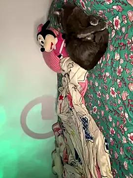 Paulet_Johnson from StripChat is Freechat