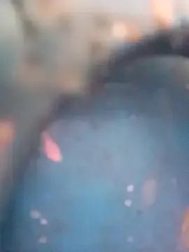 Payal950 from StripChat