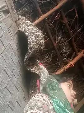 Poonam_cute from StripChat