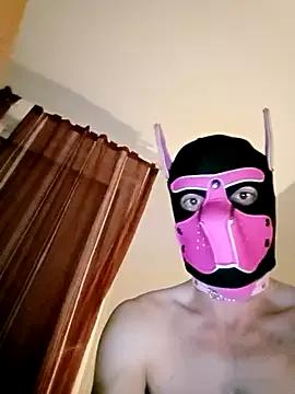 Puppydog33 webcams show profile image 