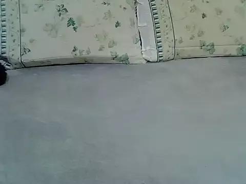 qunnoz01 from StripChat