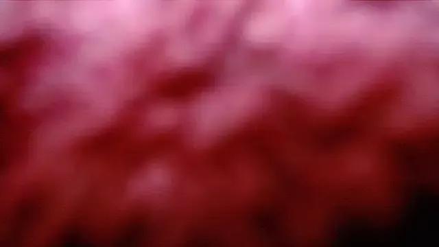 RACHELL__HOT webcams show profile image 
