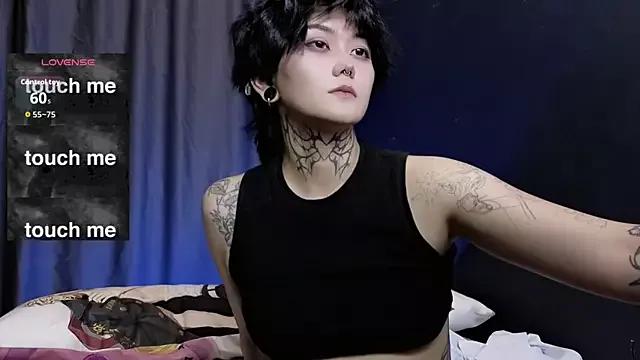 Discover our girls online shows and discover the company of countless livestreamers, with stunning shapes, sex toys and more.