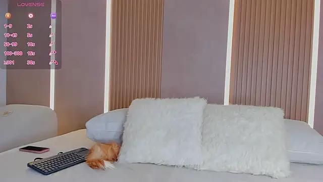 Discover our girls online shows and discover the company of countless livestreamers, with stunning shapes, sex toys and more.