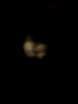 Sexysmboy69 webcams show profile image 
