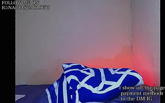 SHARLOTH_trans webcams show profile image 