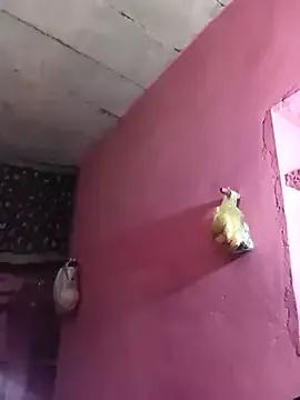 Sheema_tyagi from StripChat