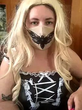 ShyPampBlondie from StripChat is Freechat