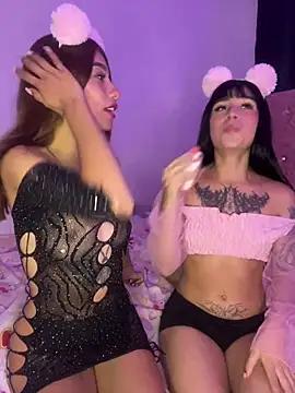 Discover our girls online shows and discover the company of countless livestreamers, with stunning shapes, sex toys and more.