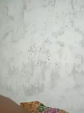 Softecho-03 from StripChat