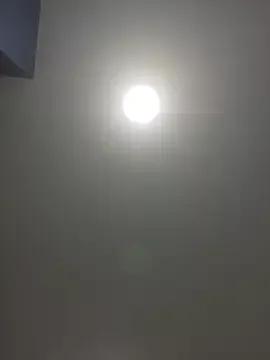 Sunning2 from StripChat