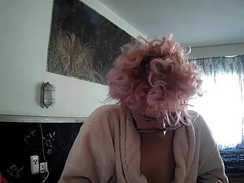 Discover our girls online shows and discover the company of countless livestreamers, with stunning shapes, sex toys and more.