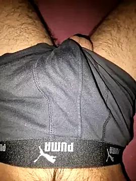 Swisboys webcams show profile image 
