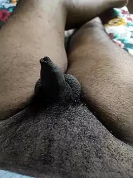 Tiny_dick_guy from StripChat is Freechat