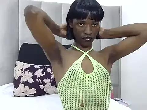 Trans_fairy from StripChat is Freechat