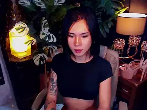 Discover our girls online shows and discover the company of countless livestreamers, with stunning shapes, sex toys and more.