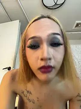 Tsgoldshow from StripChat is Freechat