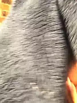 TyraaLee webcams show profile image 