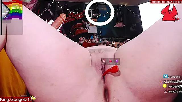 Discover our girls online shows and discover the company of countless livestreamers, with stunning shapes, sex toys and more.