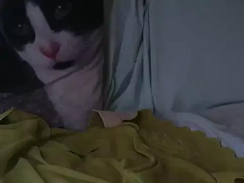 VeneRed from StripChat