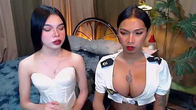 Discover our girls online shows and discover the company of countless livestreamers, with stunning shapes, sex toys and more.