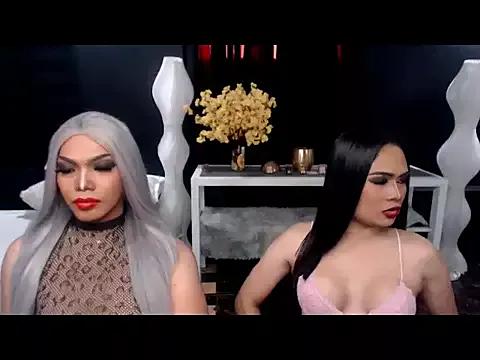 Discover our girls online shows and discover the company of countless livestreamers, with stunning shapes, sex toys and more.