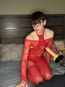 Discover our girls online shows and discover the company of countless livestreamers, with stunning shapes, sex toys and more.