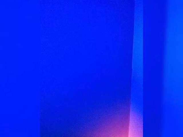 -VULPECULA- on BongaCams