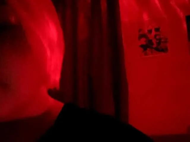 Ashley-Lee model from bc