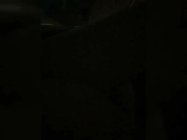 bryzgiduo on BongaCams