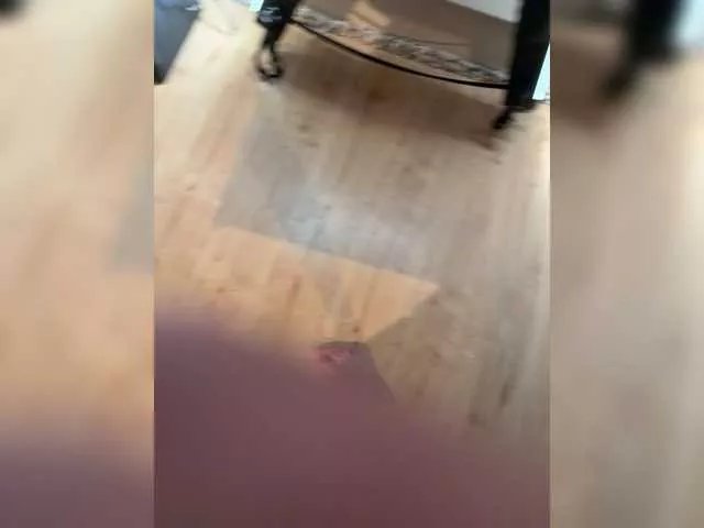 elegancycouple on BongaCams 