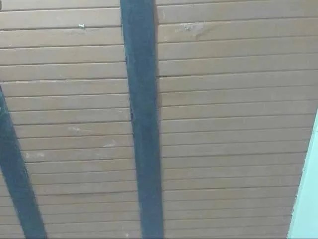 Lilly-pearr on BongaCams 