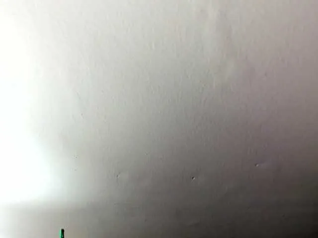 milfebony model from bc