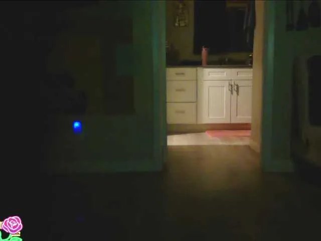 QueenAnitaDix on BongaCams 