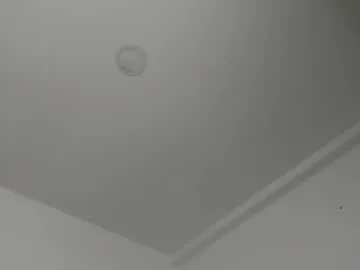 _danik0