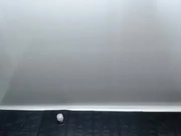 cristal_smith06 model from cb