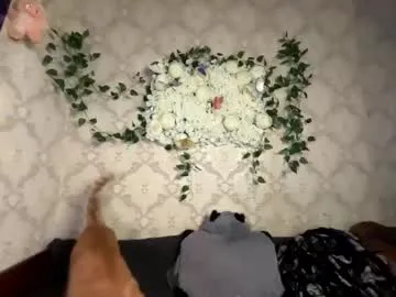 felvivalkitty model from cb