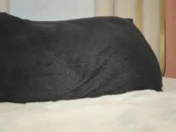 hornyjoy_ on Chaturbate