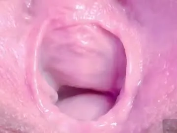 orchidekitty model from cb