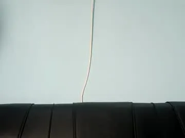 pseudonym822533 — Goal: Show ass #dirtytalk #twerk #party #kinky #ass - Next Goal: Show Panties